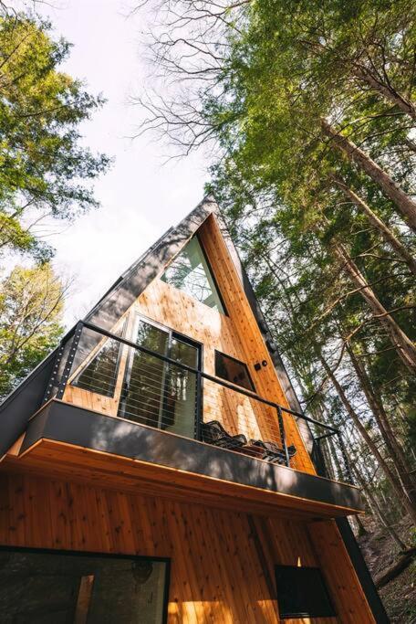 Dunlap Hollow A-Frame Rockbridge Exterior foto